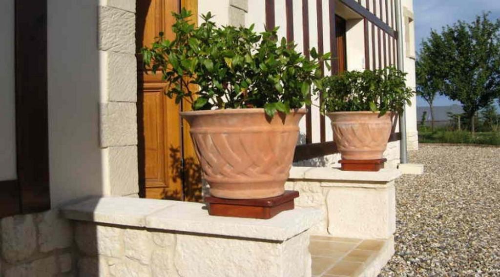 Le Mont D'Auge Bed & Breakfast Canapville  Exterior foto