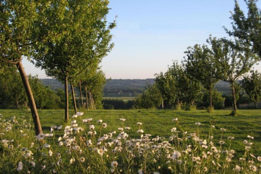 Le Mont D'Auge Bed & Breakfast Canapville  Exterior foto